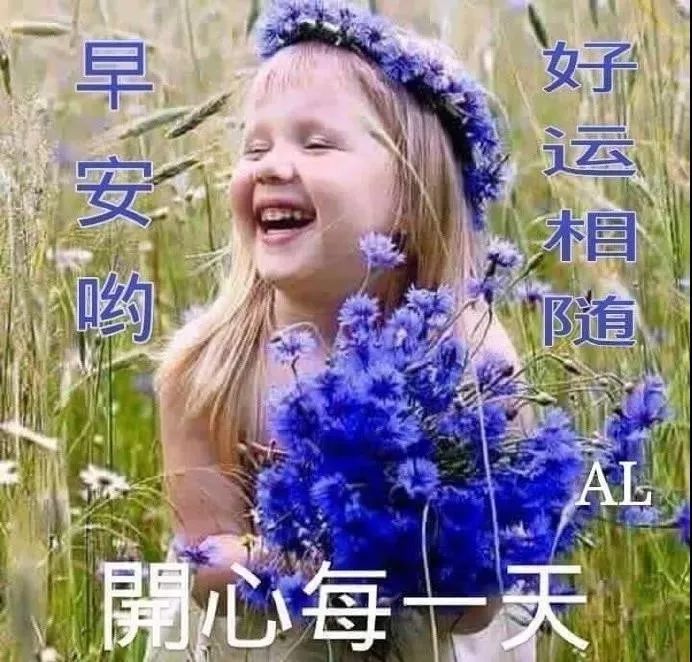 季夏早上好表情包早上好鲜花图片祝福语