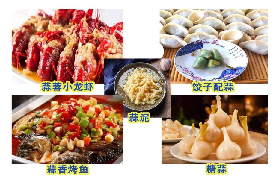 什么涎滴成语_涎腺在什么位置图片(2)