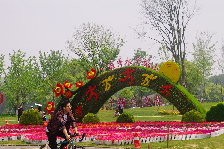 武漢的四季啊，是繁花的四季，我不是在拍花，就是在拍花的路上！ 旅遊 第25張