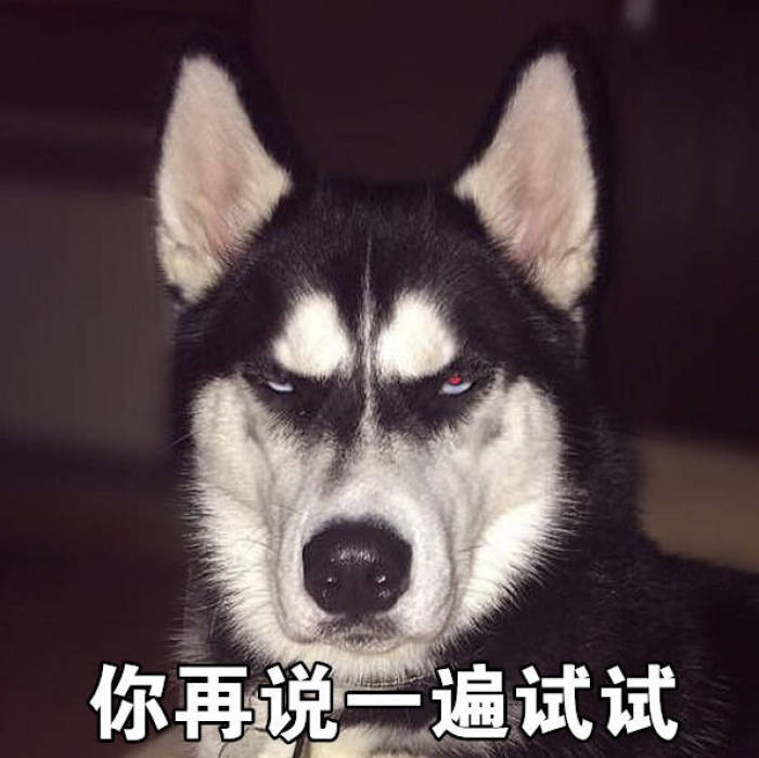 二哈正呼呼大睡,主人趁机关了空调,汪:你是发工资了吗这么飘?