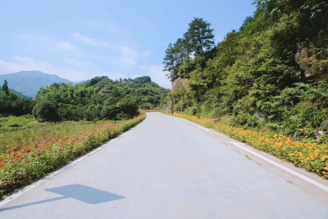 【花开农村路】,带你领略不一样的高颜值农村公路