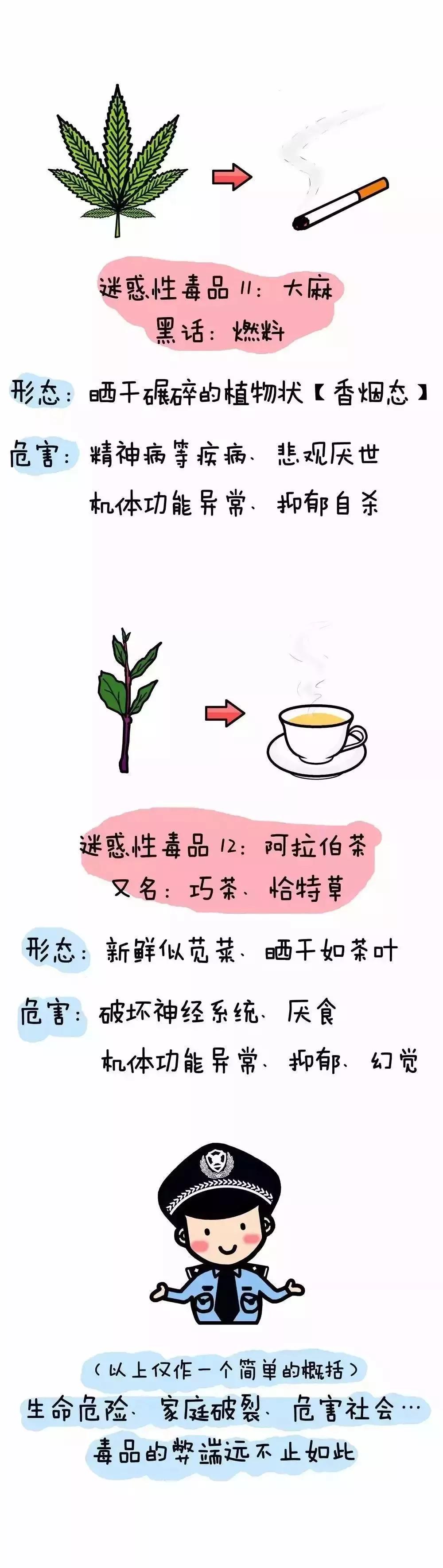 毒品的危害到底有多大龙岗法院以案说法