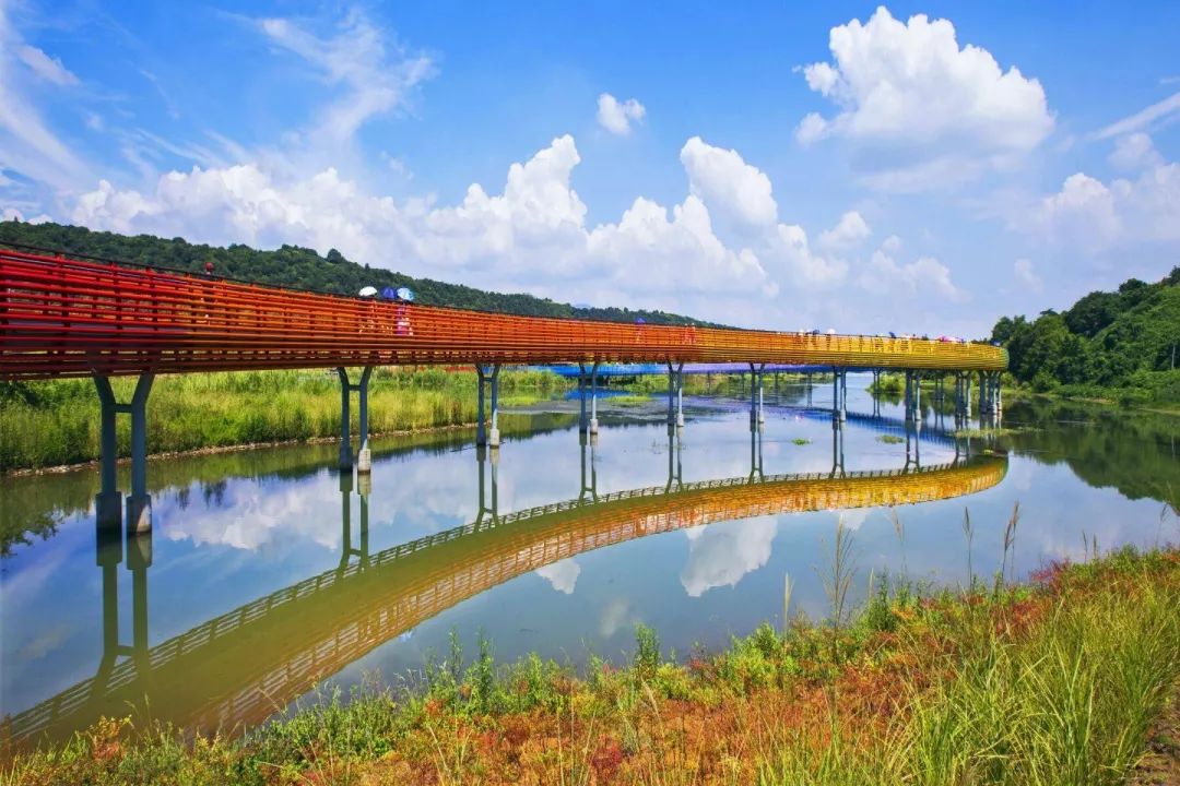 四川抖音网红景点图片