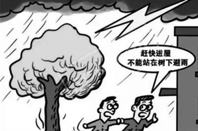 自然灾害篇 雷电到来时,不要到户外活动,不要在树下避雨.