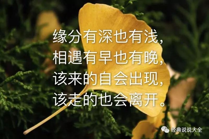说说站：社交媒体时代的发声平台