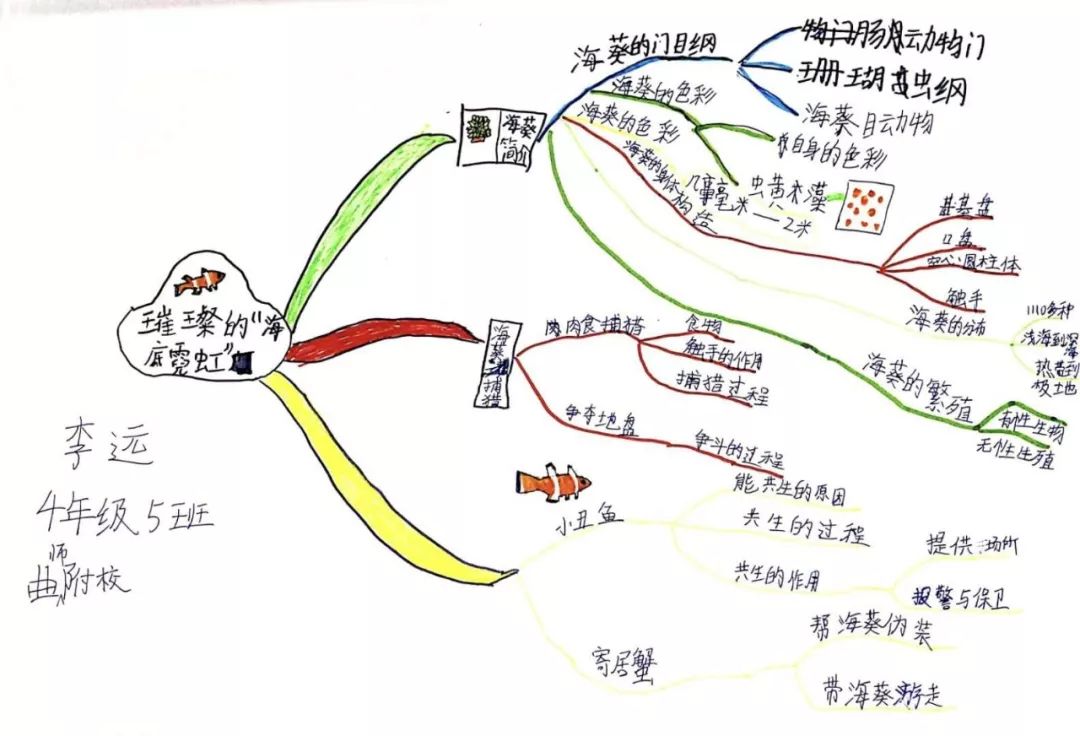 将科普文章变成思维导图活动第三期沙漠隐藏在荒凉外表下的宝库一起