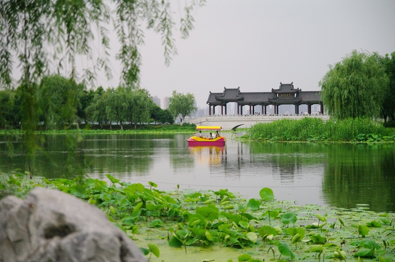 武漢的四季啊，是繁花的四季，我不是在拍花，就是在拍花的路上！ 旅遊 第18張