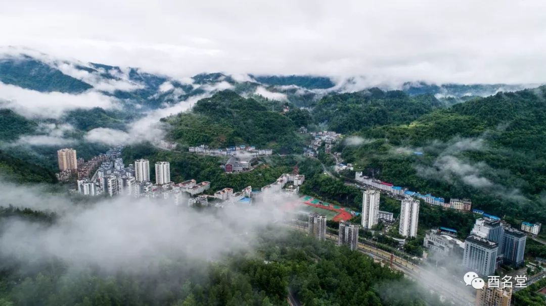 《新城崛起 罗上敏摄《晨曦 吴娅敏摄《森林酉阳 吴娅敏摄一