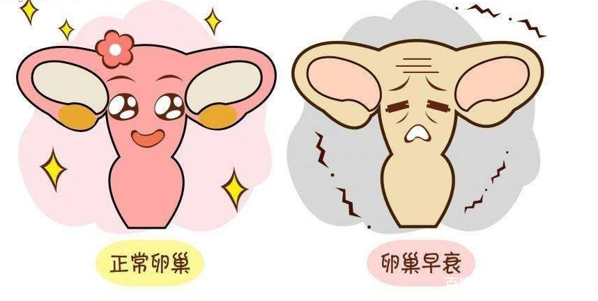 什么样是宫寒 a7856fbd270a41ef9993c61de24b11ce.jpeg