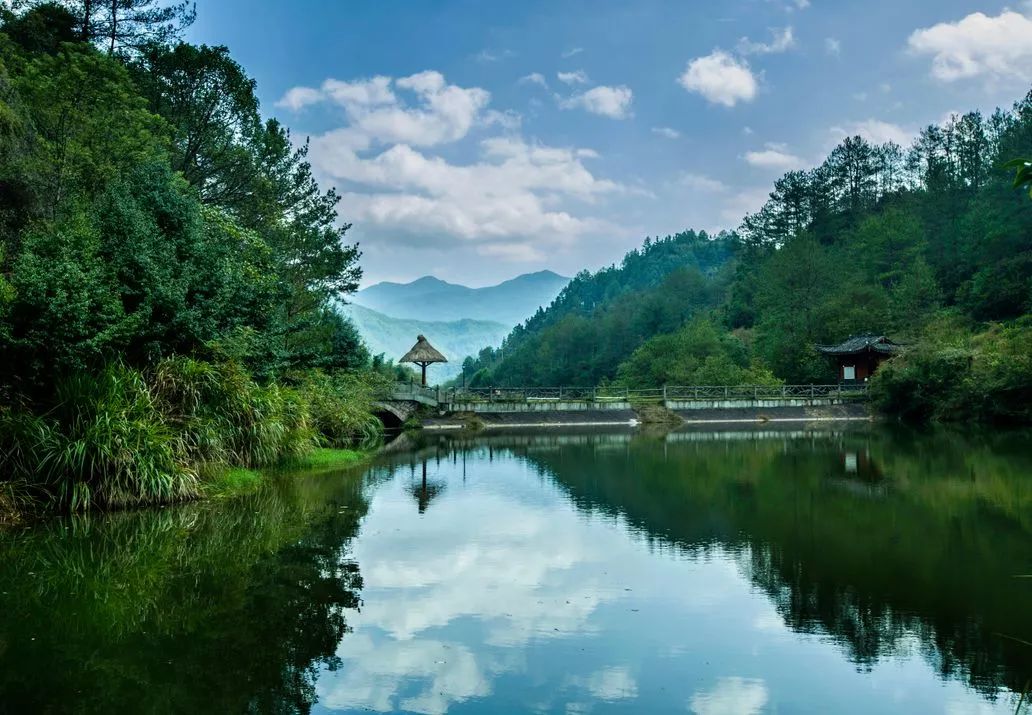 莲都的这方秘境绿了整个夏天