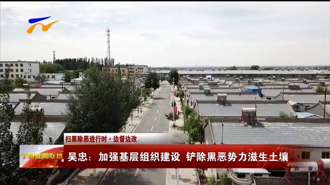 扫黑除恶进行时·边督边改 吴忠:加强基层组织建设 铲除黑恶势力