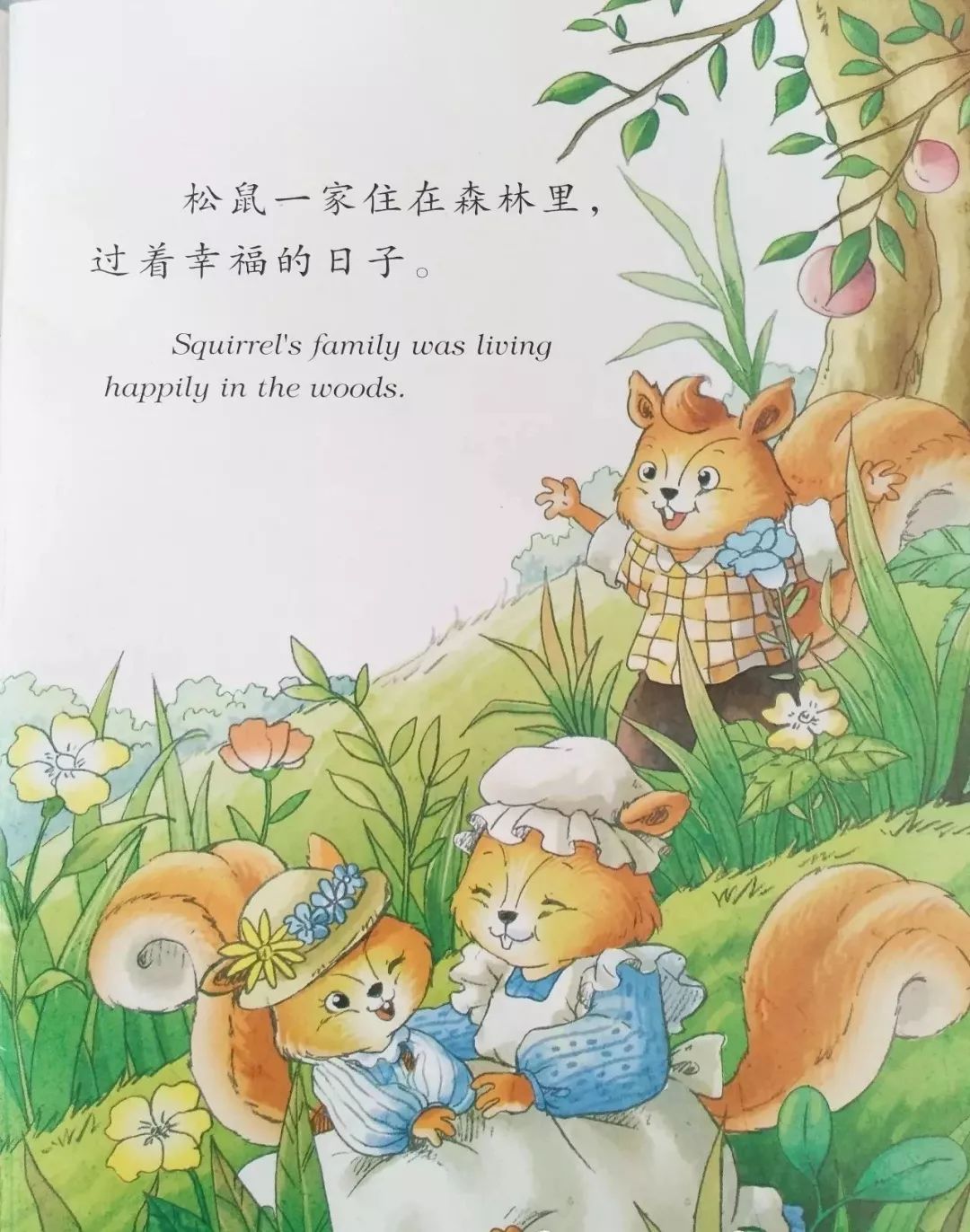 每周四晚听张老师讲故事——"好孩子懂礼貌"晋江市磁灶阳光豪庭小金星