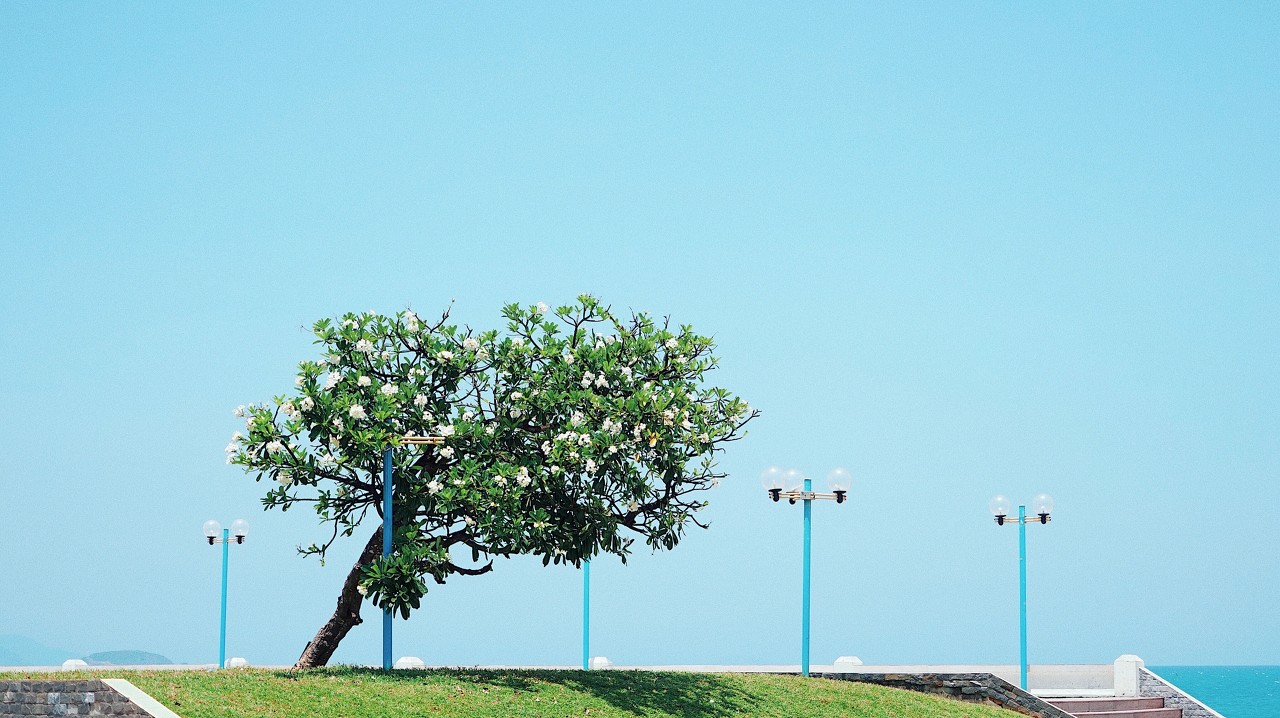 想在职考研很迷茫,那在西安考研报班有必要吗