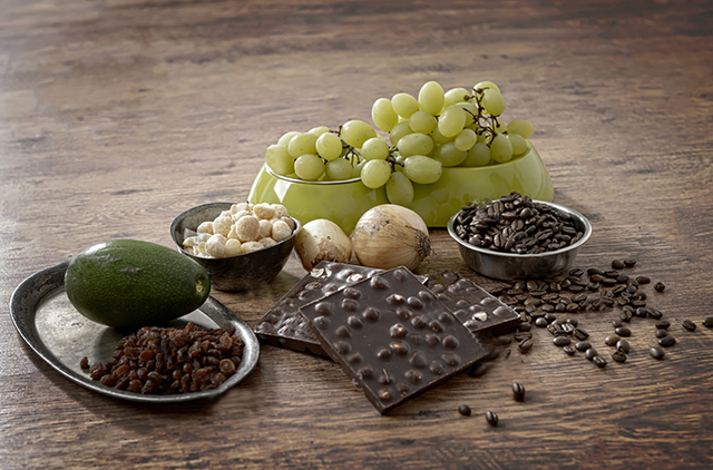 狗狗不能吃的20多种常见食物 对狗狗有毒可能