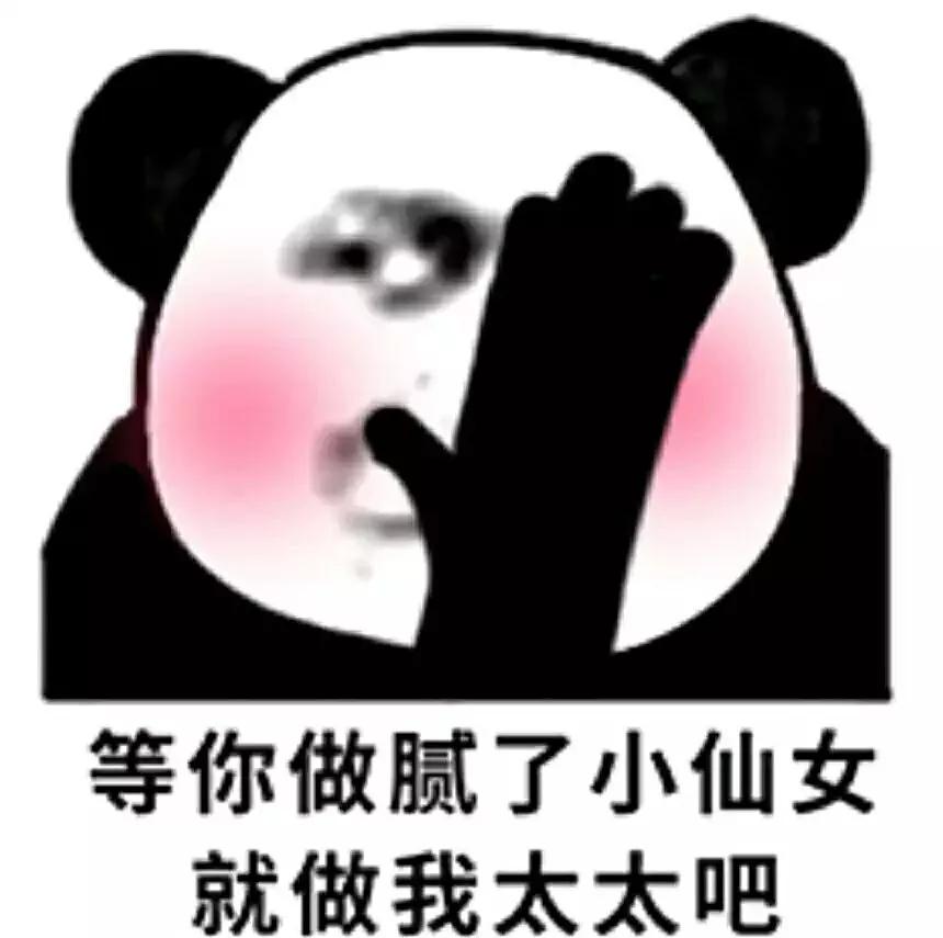 表情包 | 闭嘴 你这个美少女