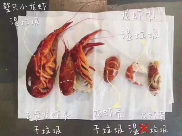 文章配图-3