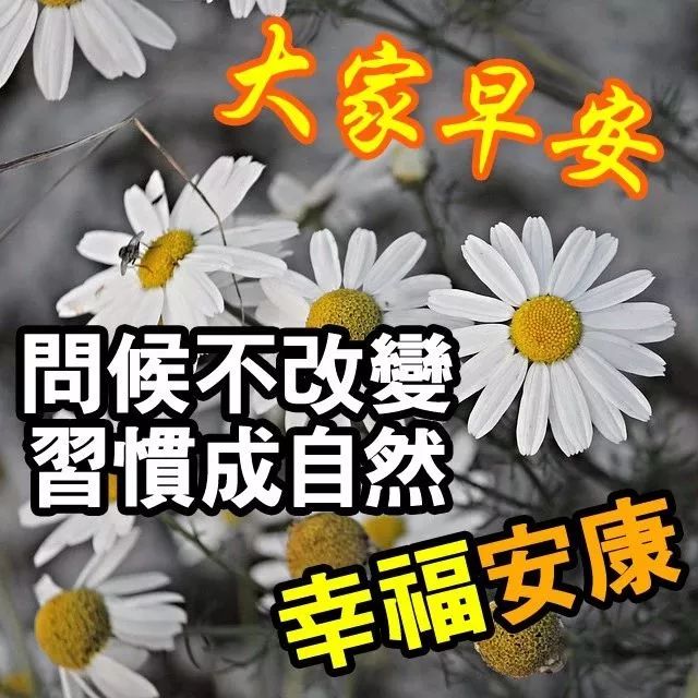 2019早上好表情图片大全夏季祝福语图片