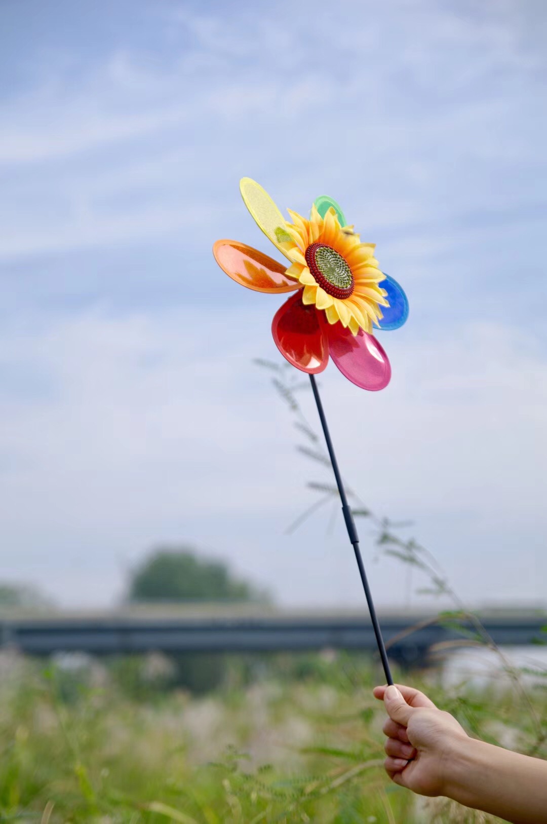 武漢的四季啊，是繁花的四季，我不是在拍花，就是在拍花的路上！ 旅遊 第23張