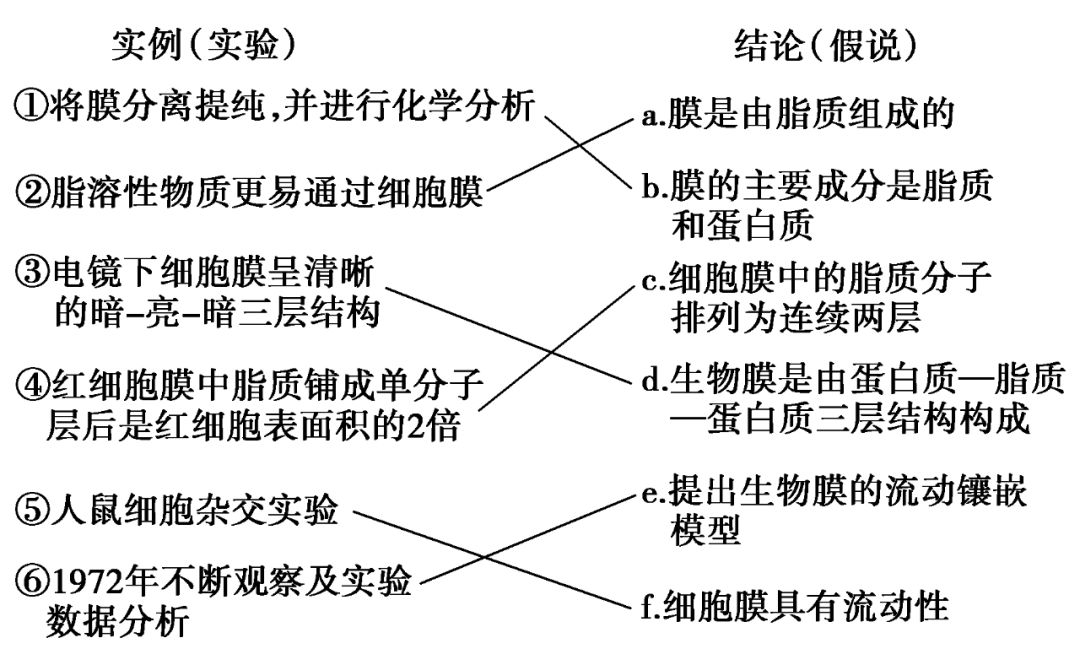 高一期末总结