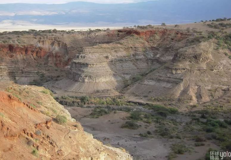 材质:石 120-140万年前 发现于坦桑尼亚奥杜威峡谷