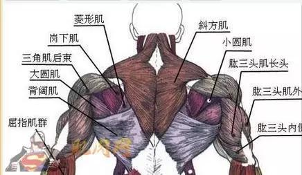 e802c753f35c4b1b8dfb998fecbd3848.JPG
