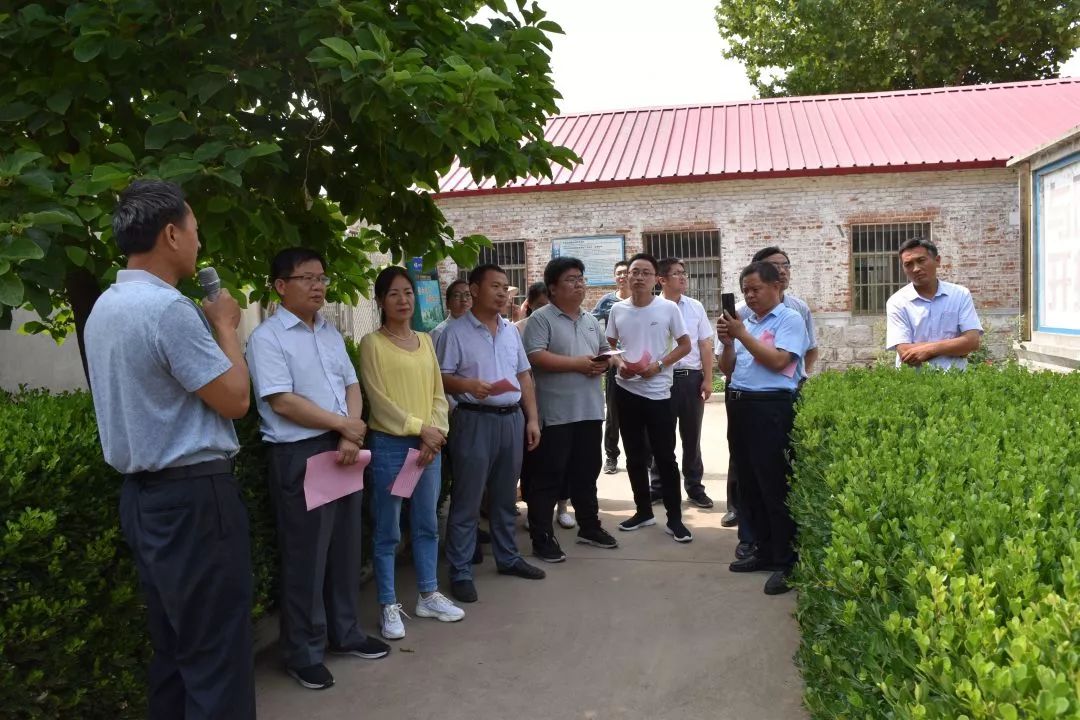 肥城市新时代文明实践看亮点现场观摩会情况展示桃园镇