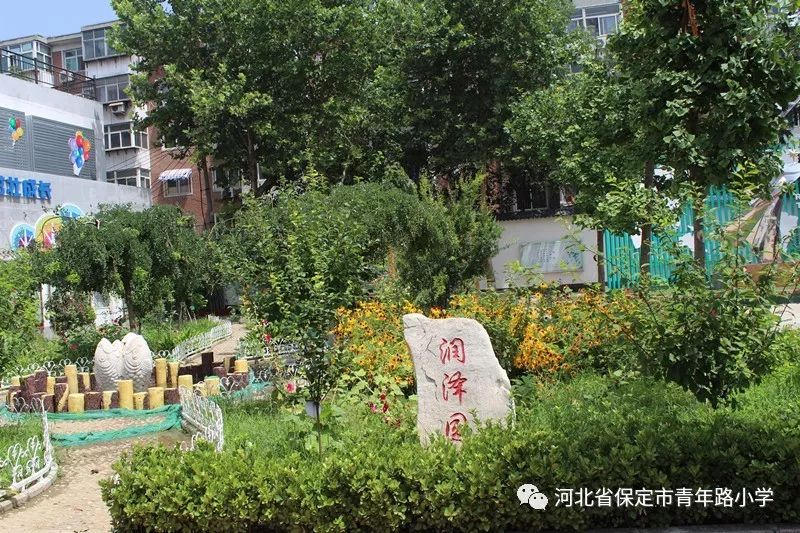 保定市青年路小学2019年招生简章