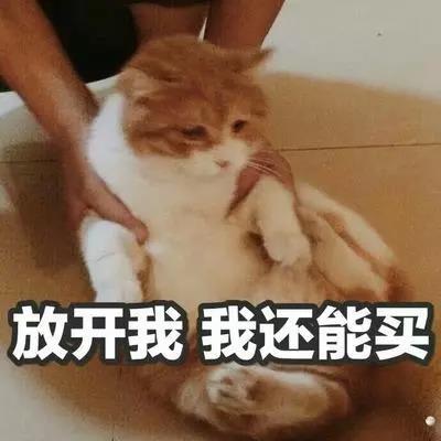 美逛app商学院配图