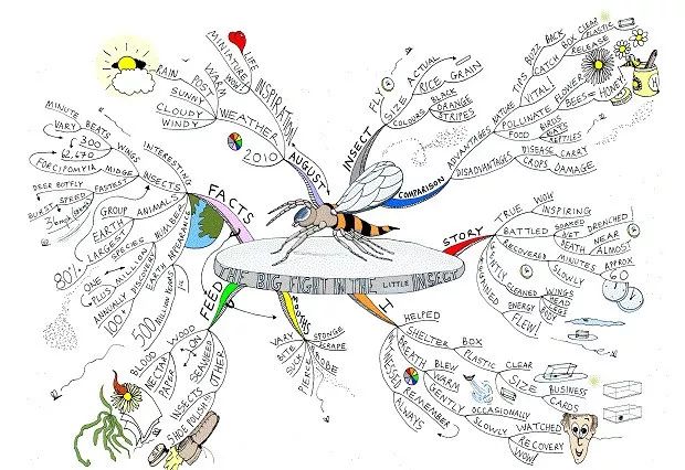 (用思维导图学习昆虫科学)