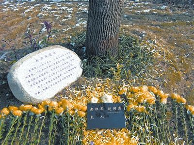 风水大师古代树葬历史以及各地习俗