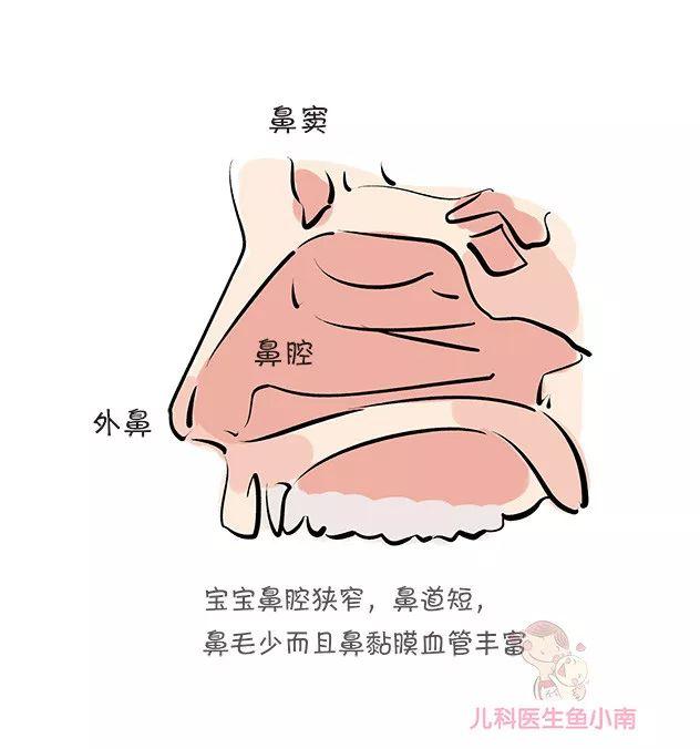                     原创            辟谣：宝宝越干净越健康？医生：这5处地方不要洗得太干净