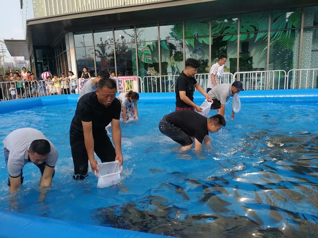 体验捉鱼的快乐示意图享受捕获大鱼之后的乐趣在这里可以施展捕鱼技能