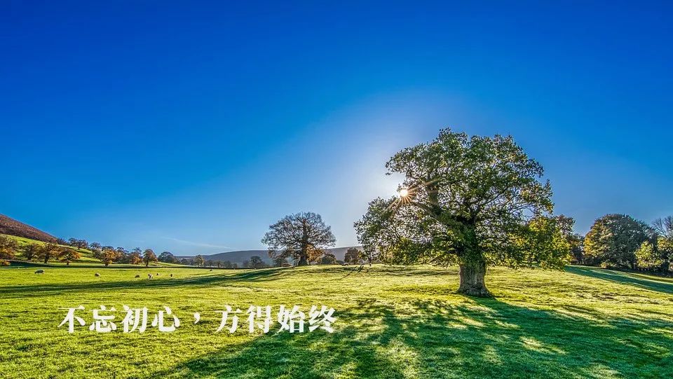 早上励志 永远不要忘了你最初的那份干劲,如果它正在减退,说明你