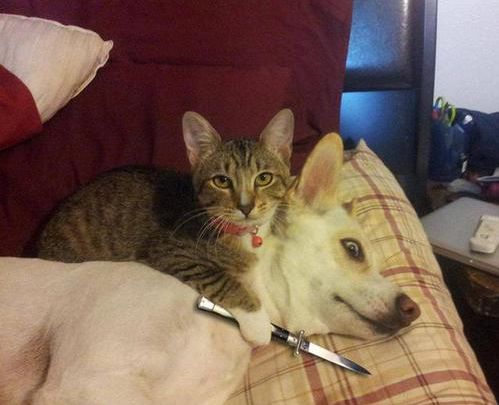 怎么才能让自己有贵气的感觉 4665bf074e4e48e49ec6ce13ab8faa06.jpeg