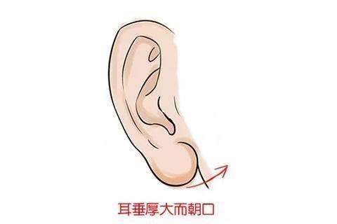                     老人常说耳朵大有福气，是迷信还是有科学依据？不妨了解下