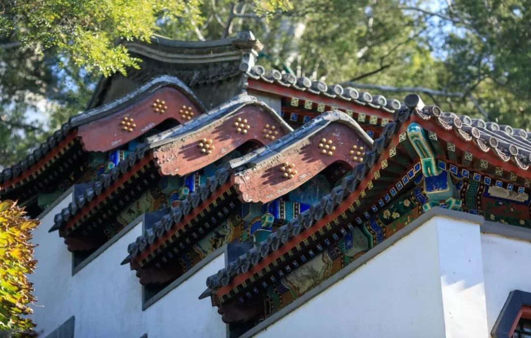 知行学思"悬鱼"和"惹草—屋顶上的风景_府丞