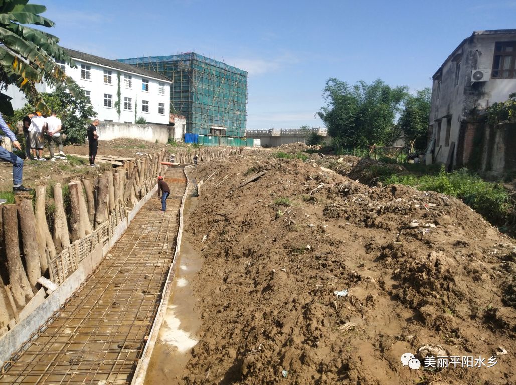 平阳麻步 | 麻步镇河道生态护岸,打造美丽自然生态景观