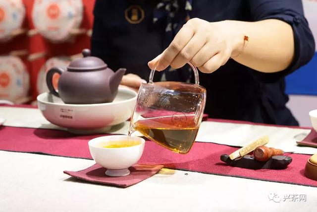 周末约茶走起这样打卡深圳春季茶博会才是正确姿势