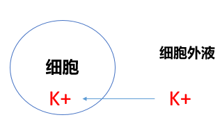 为什么会低钾症状 83a92307b0e14337ac748d8b766c46e8.png