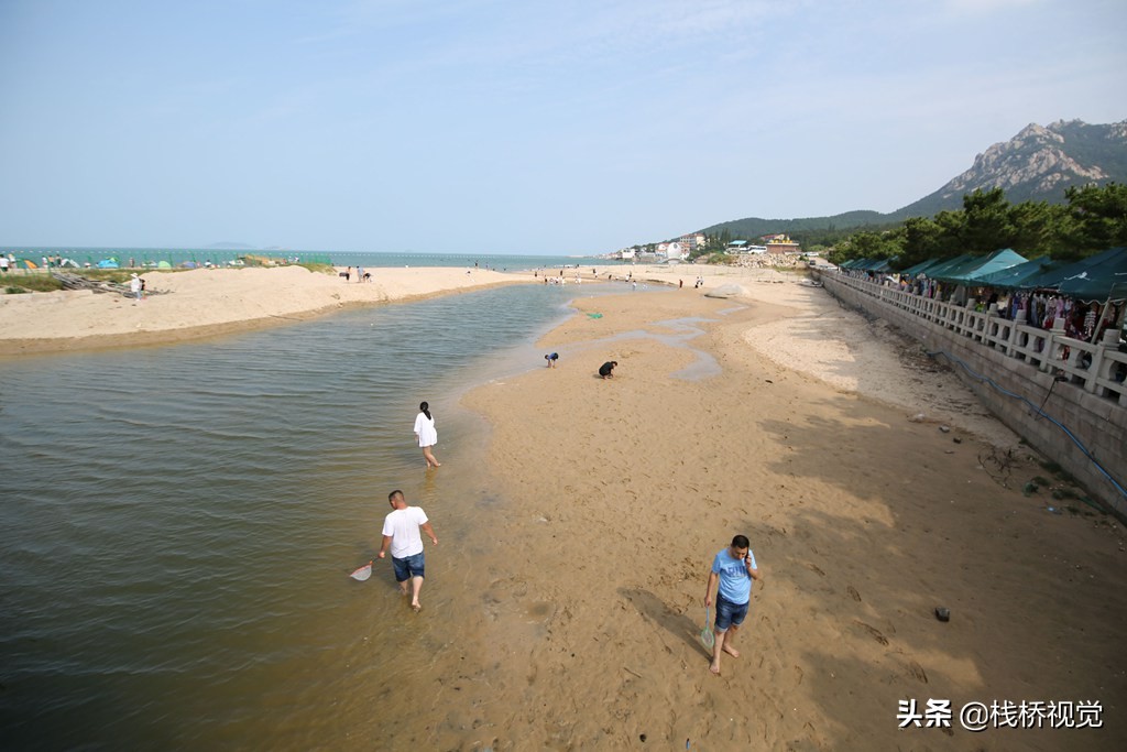 青岛:仰口海滩赶海乐