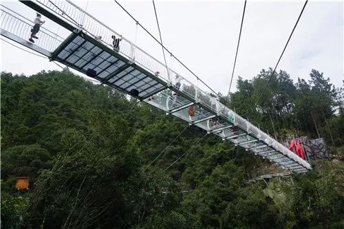 同在厦门,还有一处玻璃栈道,由玻璃桥和玻璃栈道组成,其中玻璃桥全长