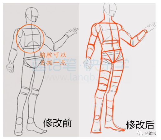 男女人体画法差异之身体差异