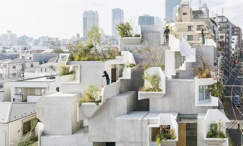 太想住这位日本建筑师设计的住宅，面积不大但布局脑洞大开！_空间