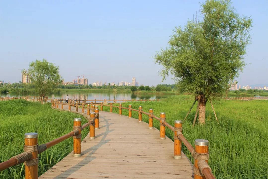 公司承建的汉中湿地公园