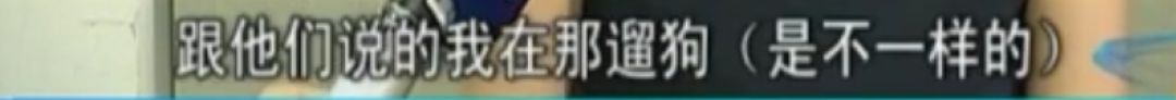 打死金毛男子已被刑拘！小狗主人却这样说……