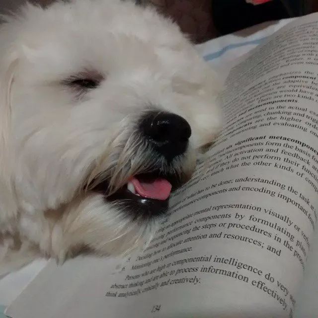 看书不如看我!