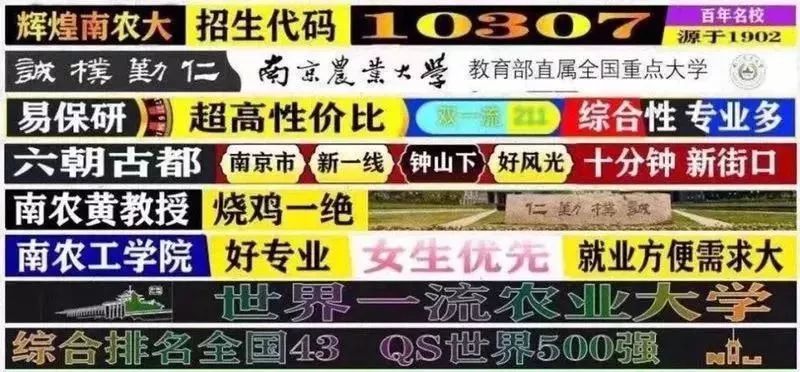 南京农业大学,女生优先,南农黄教授烧鸡一绝!