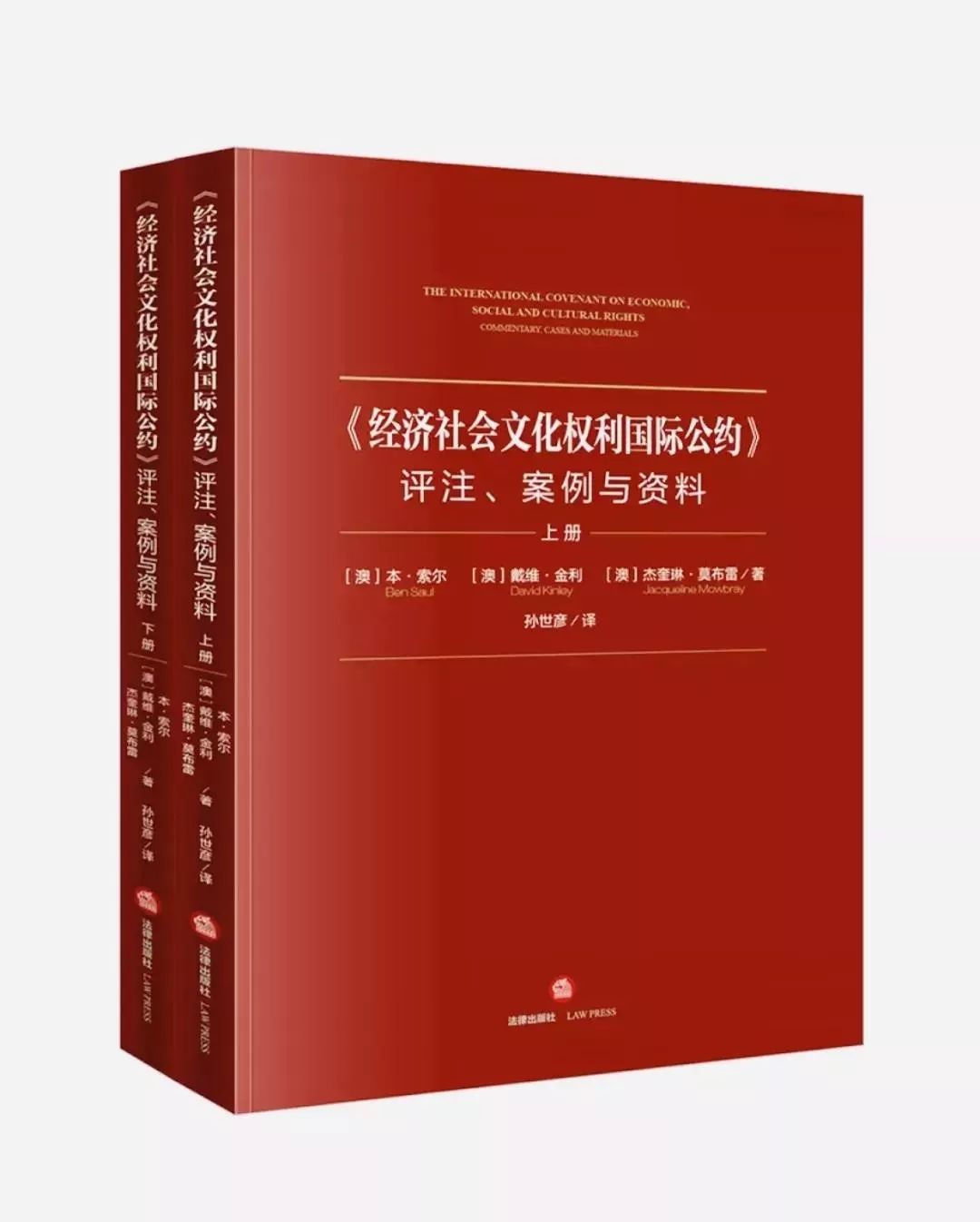 荐书| 《〈经济社会文化权利国际公约〉评注,案例与资料》 | 孙世彦译