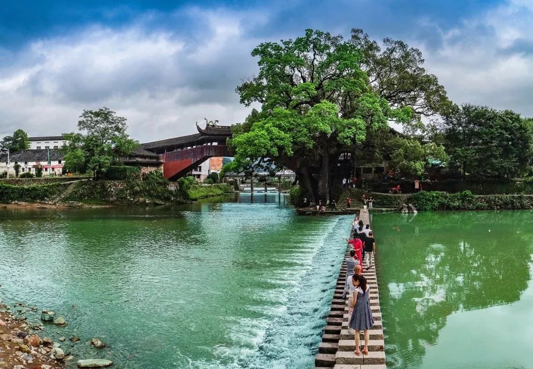 旅游锦锂福利来了,2019泰顺旅游形象公交上线暨泰顺暑期旅游产品正式