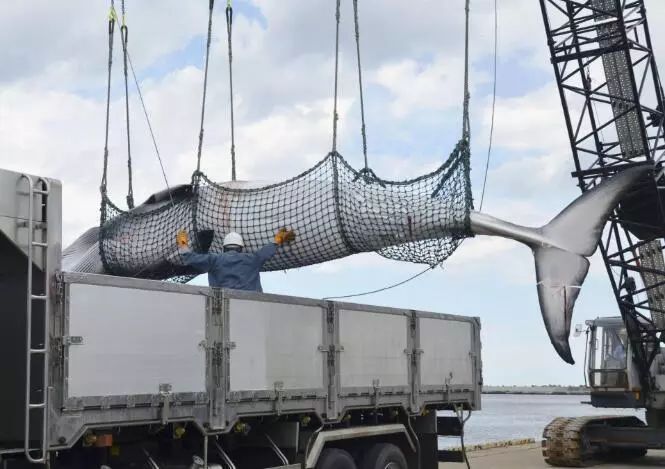 日本“退群”！